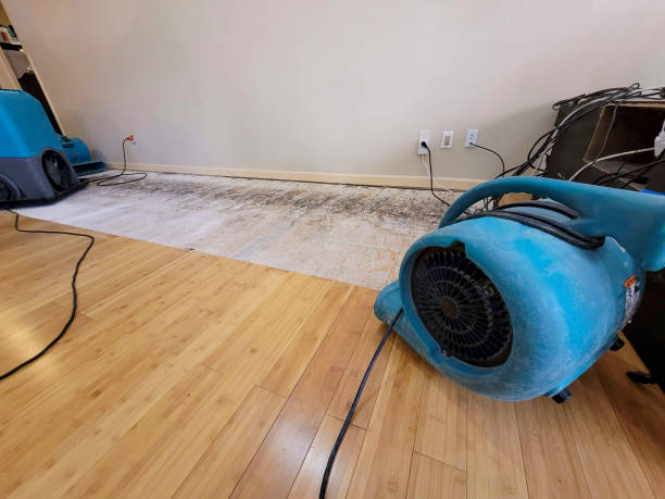 Professional Basement Flood Cleanup technician working in Montpelier Station, VA